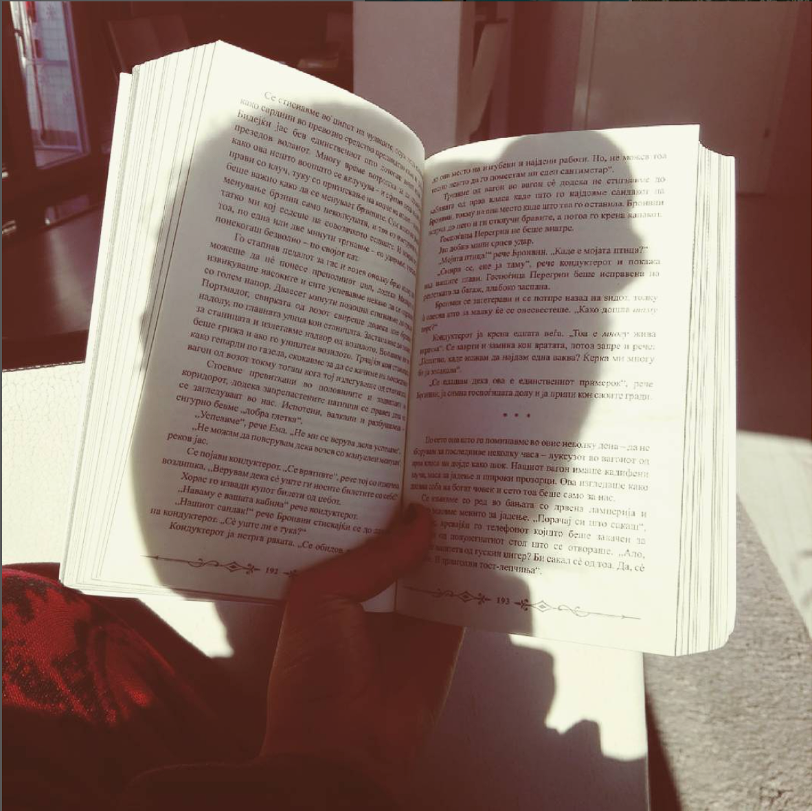 Reading a book, gallery image 1 of 6