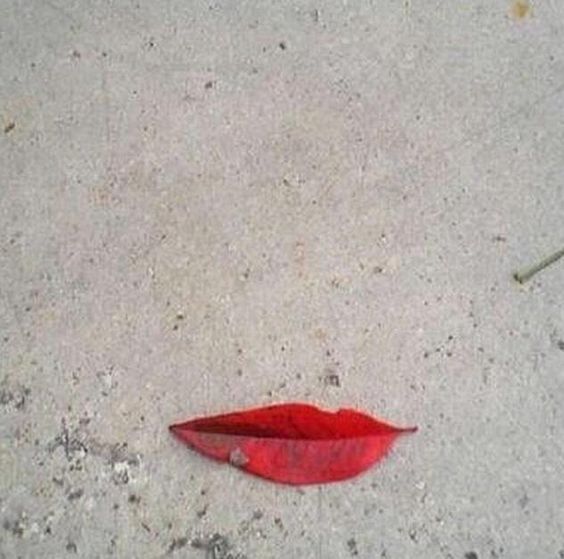 Red lips-shaped leaf on concrete